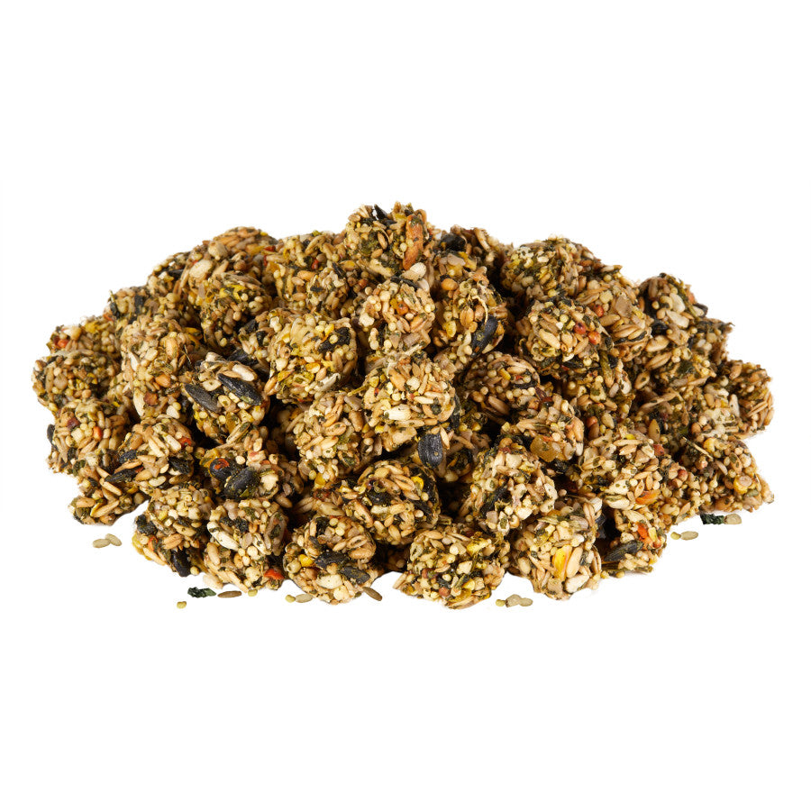 Kaytee Super Food Granola Bites Spinach and Carrot Small Animal Treat 4.5oz