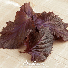 Close-up of Red Shiso seeds packet with deep reddish-purple leaves and growing instructions