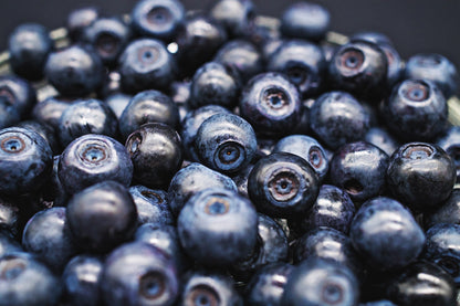 20 Common BILBERRY Fruit Shrub European Blueberry Vaccinium Myrtillus Seeds