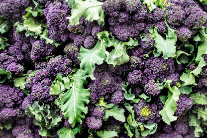 200 PURPLE SPROUTING BROCCOLI Brassica Oleracea Vegetable Seeds