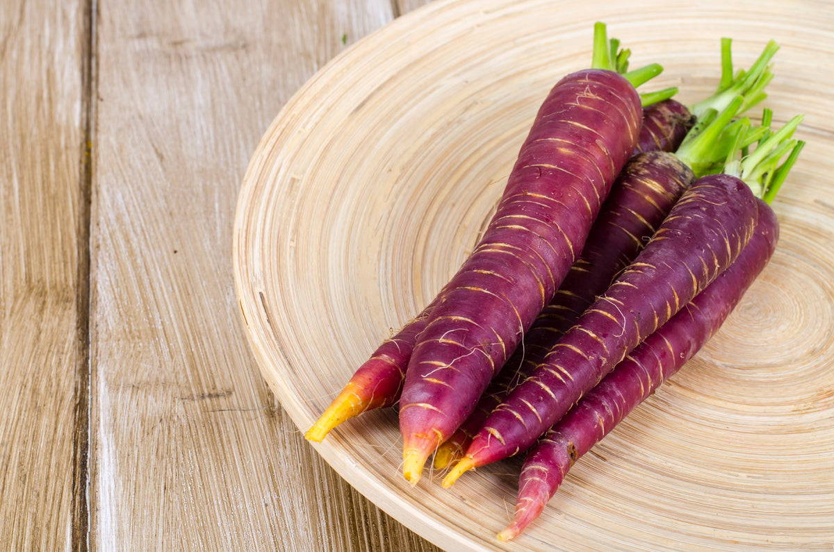 400 COSMIC PURPLE CARROT Daucus Carota Vegetable Seeds