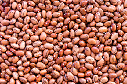 50 PINTO BEAN Phaseolus Vulgaris Vegetable Seeds