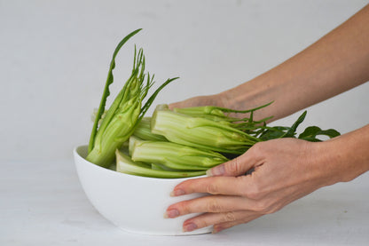 250 CICORIA CATALOGNA Puntarelle Chicorium Chicory Vegetable Seeds