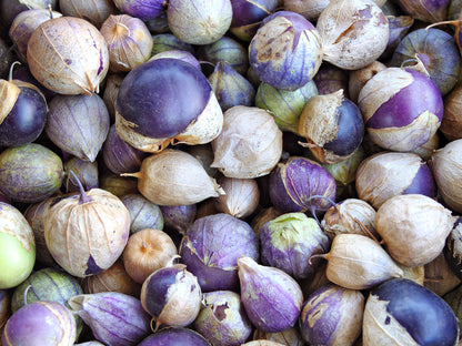 50 PURPLE TOMATILLO Husk Tomato Physalis Ixocarpa Fruit Vegetable Seeds