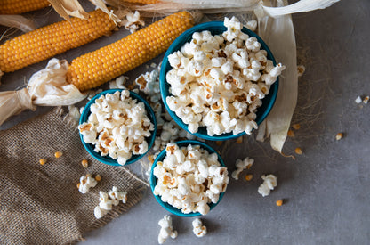 150 LADY FINGERS POPCORN Corn Zea Mays White Yellow Vegetable Seeds