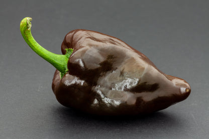 40 MULATO ISLENO PEPPER Brown Mildly Hot Ancho Poblano Capsicum Vegetable Seeds
