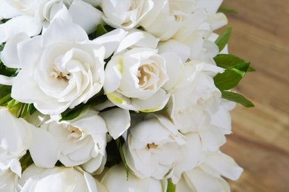 50 GARDENIA Jasminoides / CAPE JASMINE Fragrant White Shrub Houseplant Flower Seeds
