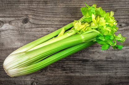 1000 TENDERCRISP CELERY Stalks & Leaves Apium Graveolens Vegetable Seeds