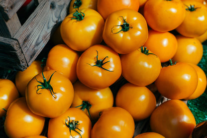 150 GOLDEN JUBILEE TOMATO Yellow Lycopersicon Lycopersicum Fruit Vegetable Seeds