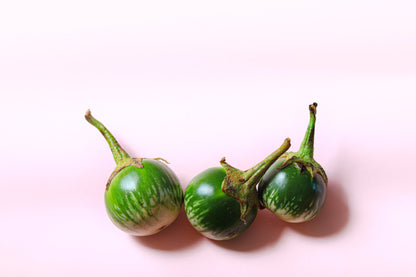 10 KERMIT EGGPLANT Green White Thai Solanum Melongena Fruit Vegetable Seeds