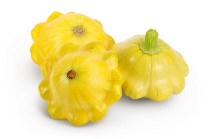 10 Golden YELLOW Bush SCALLOP SQUASH (Patty Pan / Paty Pan / Squanter Squash) Summer Cucurbita Pepo Vegetable Seeds