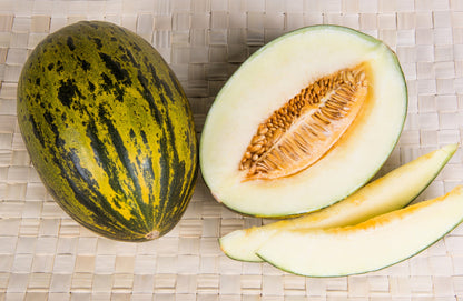 50 PIEL de SAPO MELON Santa Claus Christmas Melon Green Yellow Cucumis Melo Fruit Seeds