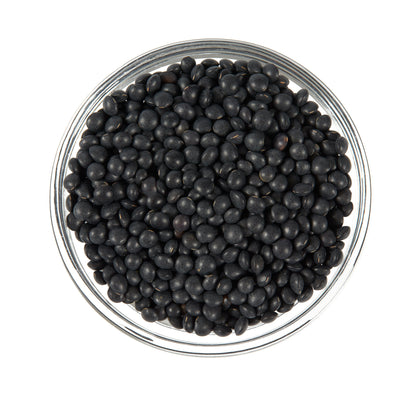 100 BLACK LENTIL Bush Lens Culinaris Vegetable Legume Sprouts Seeds