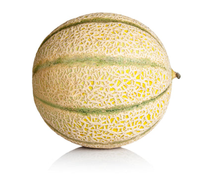 100 Minnesota MIDGET CANTALOUPE MELON Cucumis Melo Reticulatus Fruit Seeds