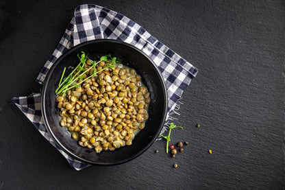 100 GREEN LENTIL Lentils Lens Culinaris Vegetable Seeds