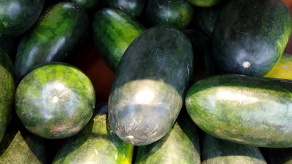 50 CONGO WATERMELON Red Citrullus Lanatus 40 lb AAS Winner Fruit Melon Seeds