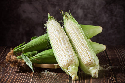 100 Truckers Favorite WHITE SWEET CORN Zea Mays Vegetable Seeds