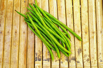 50 FRENCH Blue Lake POLE BEAN Phaseolus Vulgaris Vegetable Seeds