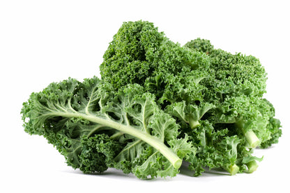 2500 VATES Blue CURLED KALE / Dwarf Blue Curled Scotch Kale Brassica Oleracea Vegetable Seeds
