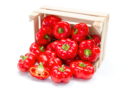 25 ALMA PAPRIKA PEPPER White Orange Red Hungarian Cherry Capsicum Annuum Seeds