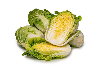 500 MICHIHILI CABBAGE Napa (Chinese Cabbage / Bok Choy / Pak Choi / Celery Mustard / Chinese Chard) Brassica Rapa Chinensis Vegetable Seeds