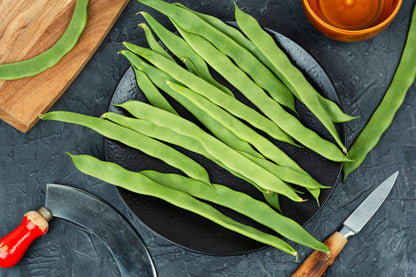 50 ROMA Italian GREEN BEAN Phaseolus Vulgaris Vegetable Seeds