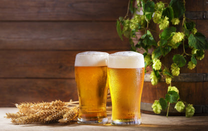 25 COMMON HOPS European Humulus Lupulus Vine Seeds Beer Making Ingredient Seeds
