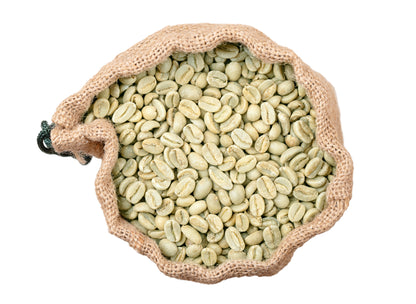 15 ARABICA COFFEE Tree Shrub Seeds - Grow your own coffee!