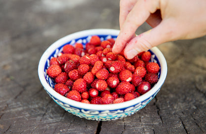 100 VESCA BARON STRAWBERRY Solemacher Berry Fragari Fruit Seeds