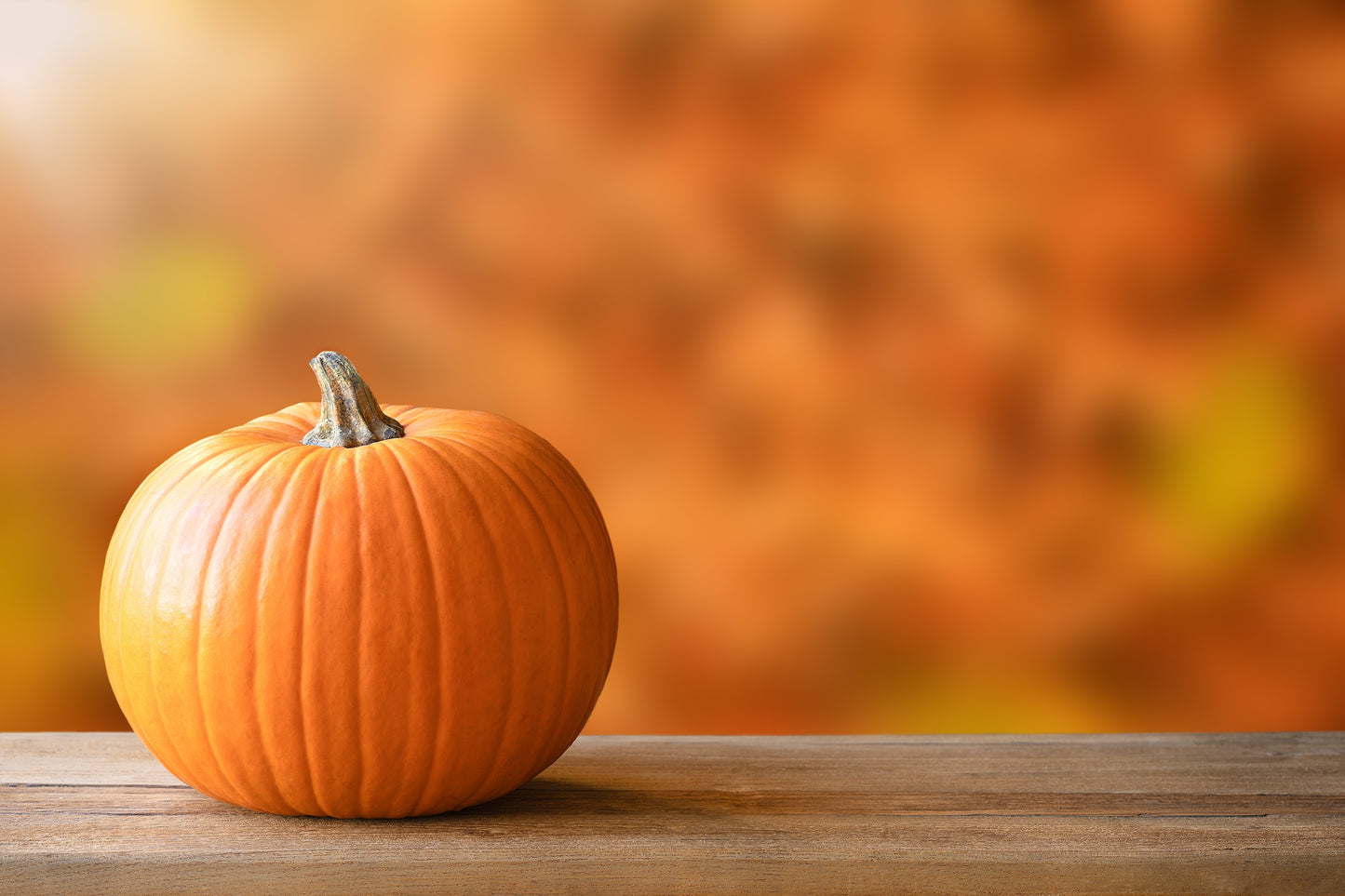 50 SPOOKIE PUMPKIN aka Deep Sugar Pie Pumpkin Cucurbita Pepo Vegetable Seeds