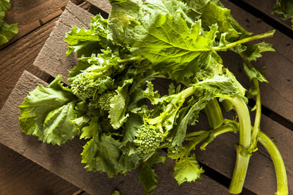 1000 EARLY Fall RAPINI BROCCOLI (Broccoli Raab / Broccoli Rabe / Brocoletti / Cima di Rapa) Brassica Ruvo Vegetable Seeds
