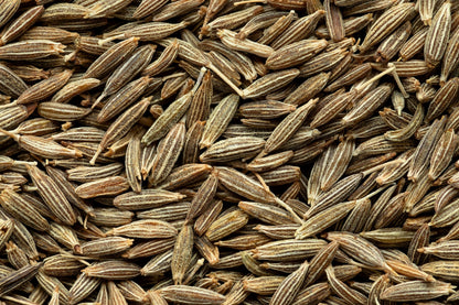 500 Organic CUMIN Cuminum Cyminum Herb Flower Seeds