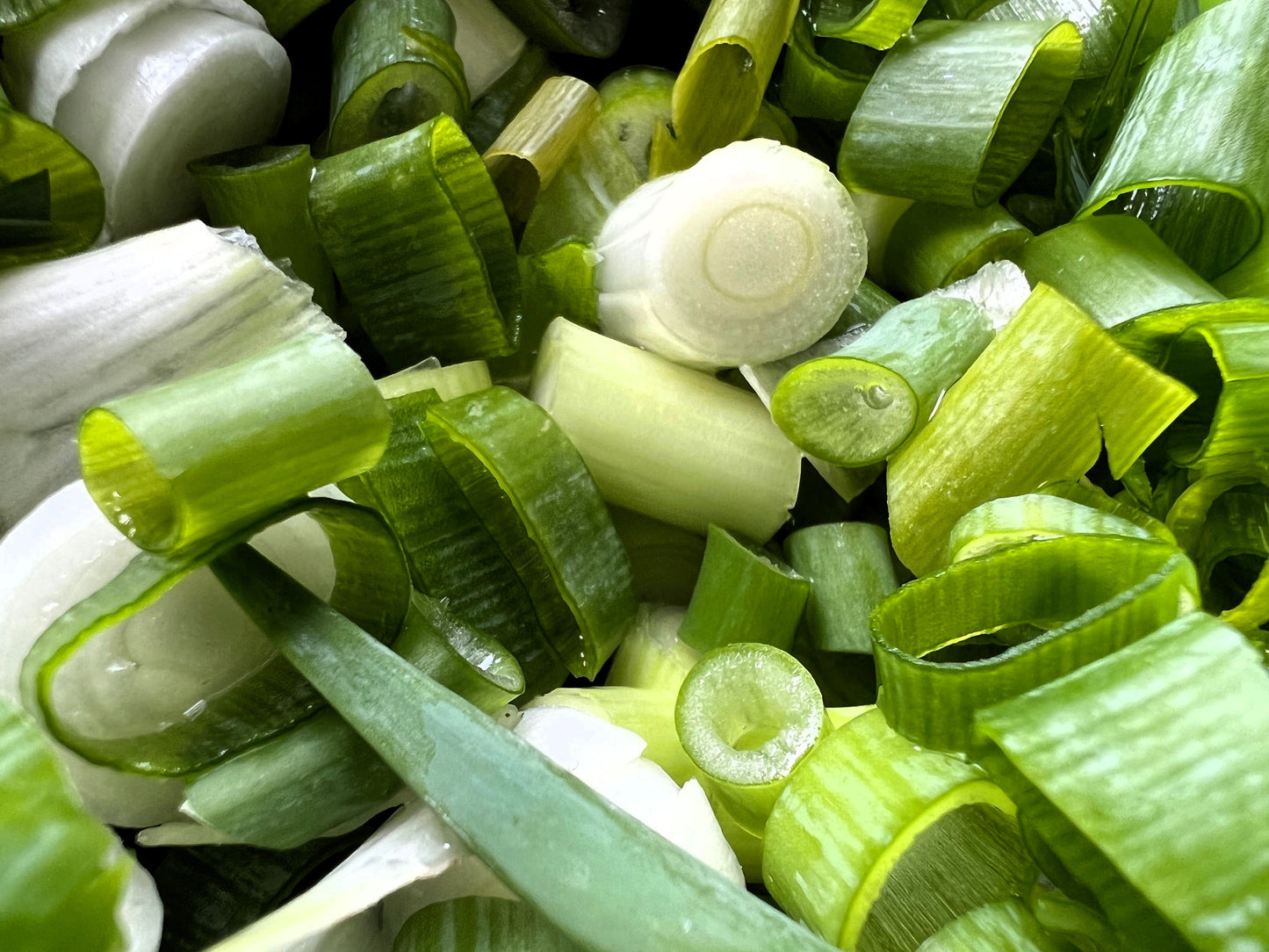 300 Evergreen NEBUKA BUNCHING ONION Japanese Allium Fistulosum Vegetable Seeds