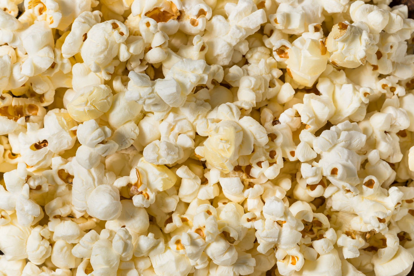 150 LADY FINGERS POPCORN Corn Zea Mays White Yellow Vegetable Seeds