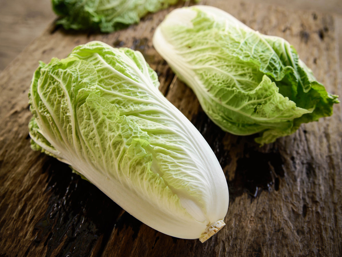 500 MICHIHILI CABBAGE Napa (Chinese Cabbage / Bok Choy / Pak Choi / Celery Mustard / Chinese Chard) Brassica Rapa Chinensis Vegetable Seeds