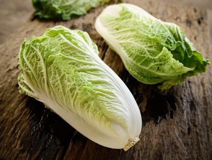 500 MICHIHILI CABBAGE Napa (Chinese Cabbage / Bok Choy / Pak Choi / Celery Mustard / Chinese Chard) Brassica Rapa Chinensis Vegetable Seeds