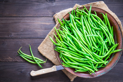 50 SLENDERETTE GREEN BEAN French Stringless Phaseolus Vulgaris Vegetable Seeds