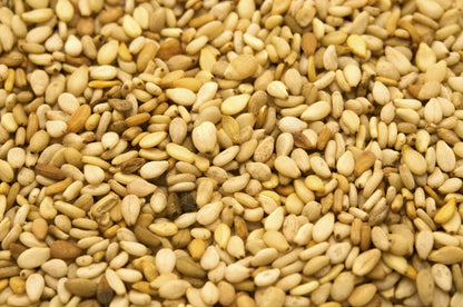1500 Organic SESAME SEED Sesamum Indicum White Flower Vegetable Bread Seeds