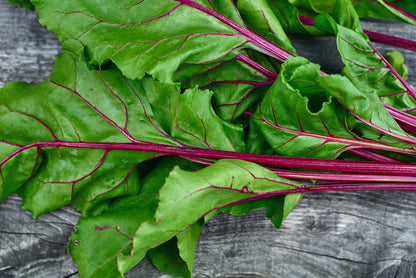 75 Giant Red BEET Mangelwurzel Mangel Mangold Wurzel Mammoth Long Beta Vulgaris Seeds