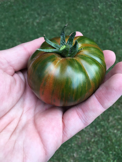 50 CHOCOLATE STRIPES TOMATO Brown with Green Lycopersicon Fruit Vegetable Seeds