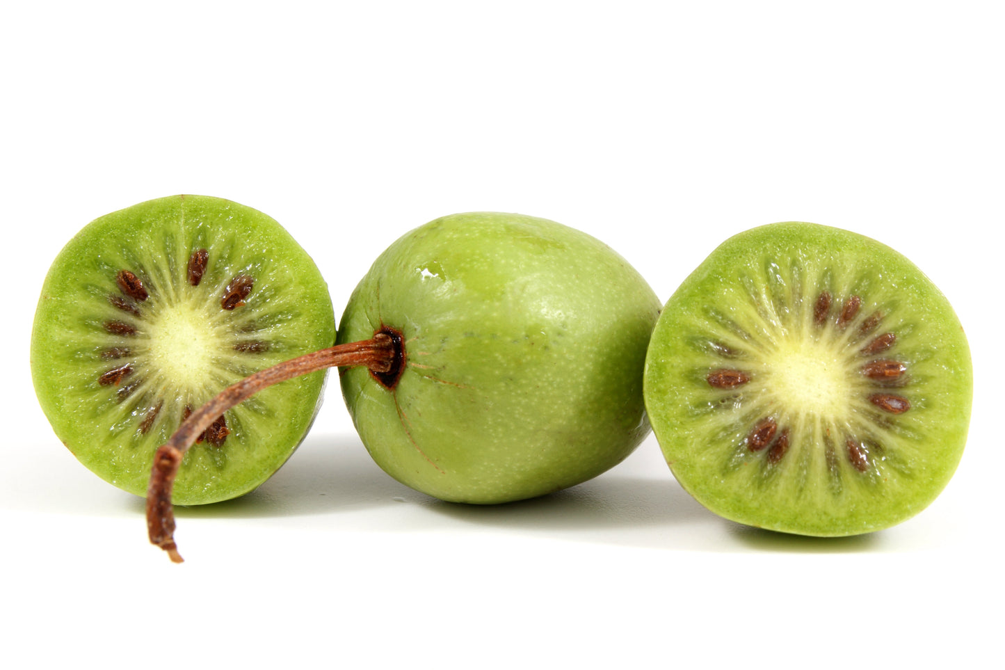 20 Variegated ARCTIC BEAUTY KIWI Fruit Edible Actinidia Kolomikta Vine Seeds