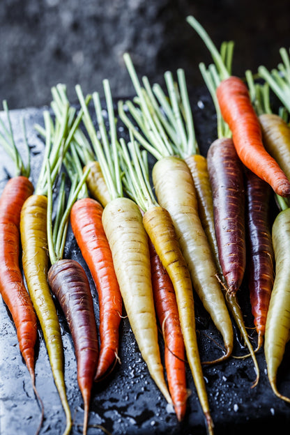 500 RAINBOW CARROT MIX White Red Yellow Purple Orange Daucus Carrota Seeds