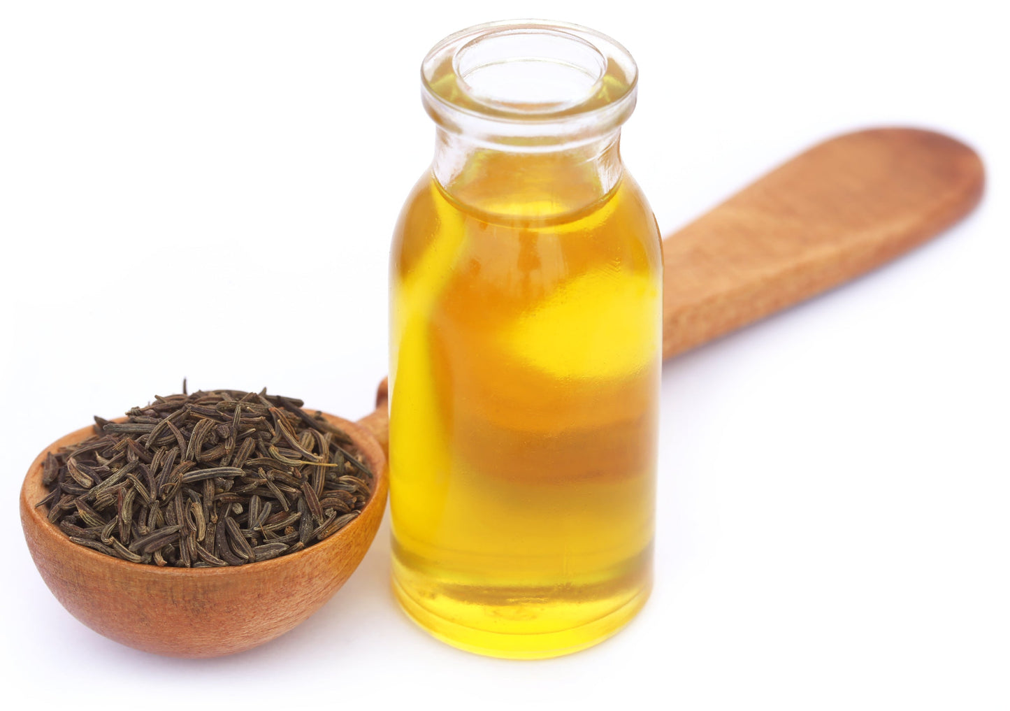 100 Kala Jeera IMPERIAL BLACK CUMIN Spice Plant Bunium Persicum Herb Seeds