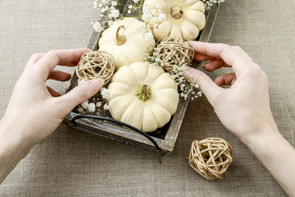 15 WHITE Baby Boo MINI PUMPKIN Miniature Cucurbita Pepo Vegetable Seeds