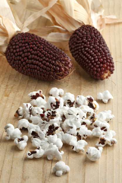 150 Red STRAWBERRY POPCORN CORN Zea Mays Vegetable Seeds