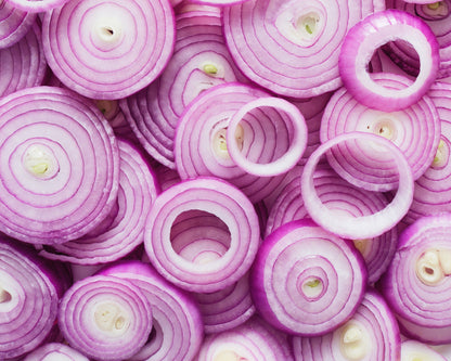 250 RED BURGUNDY ONION Allium Cepa Vegetable Seeds