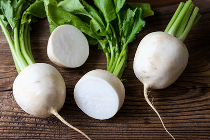 3000 SHOGOIN TURNIP White Japanese Brassica Rapa Root & Greens Vegetable Seeds
