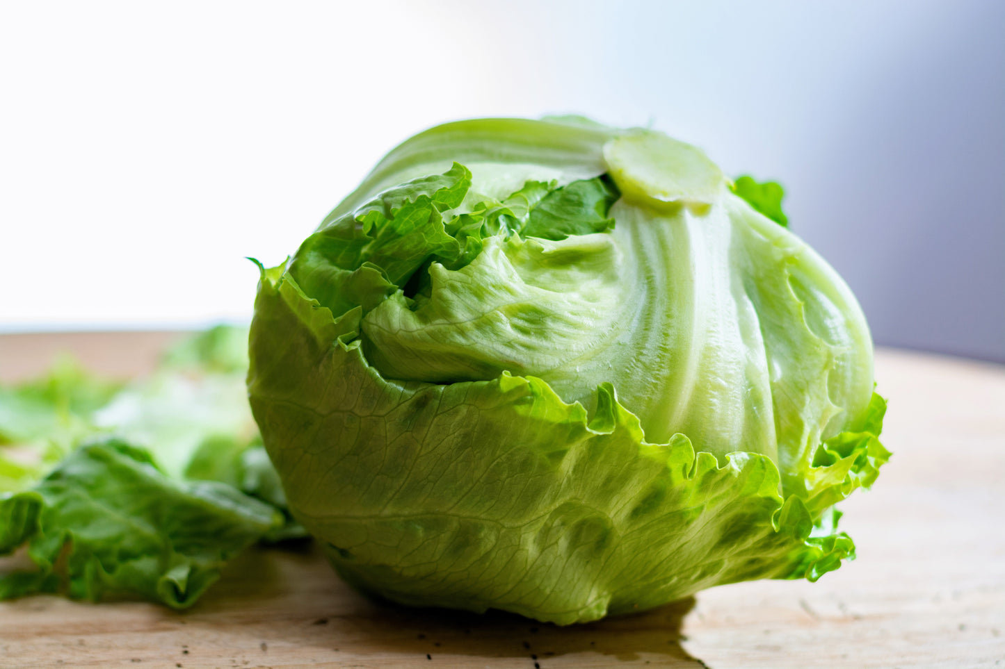 1000 GREAT LAKES LETTUCE Batavian Iceberg Lactuca Sativa Vegetable Seeds