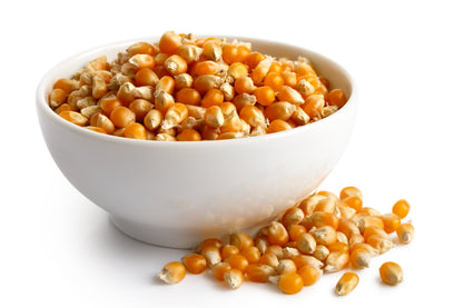 150 LADY FINGERS POPCORN Corn Zea Mays White Yellow Vegetable Seeds