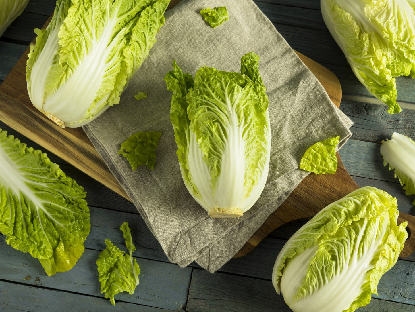 500 MICHIHILI CABBAGE Napa (Chinese Cabbage / Bok Choy / Pak Choi / Celery Mustard / Chinese Chard) Brassica Rapa Chinensis Vegetable Seeds